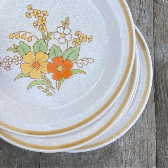 Vintage Other - Vintage JcPenny Festive Floral Dinnerware Plates